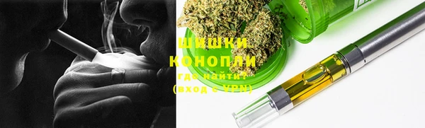PSILOCYBIN Горняк
