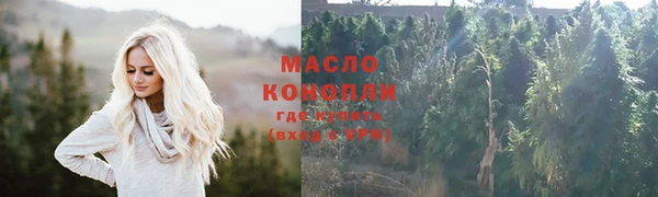 молекула духа Новозыбков