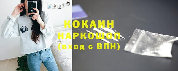 твердый Няндома