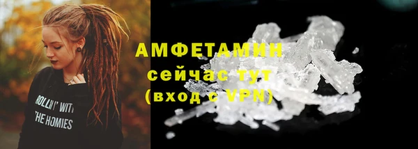 ALPHA PVP Остров
