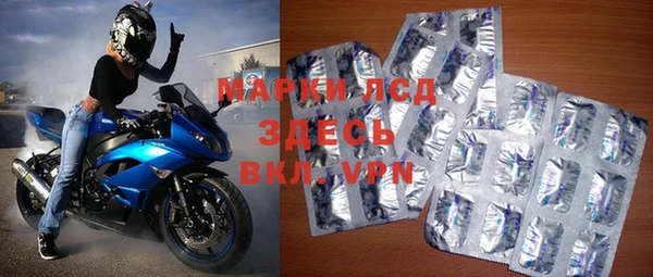 спиды Вяземский