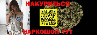 гашик Донской