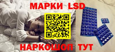 гашик Донской