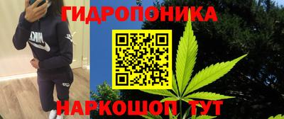 гашик Донской