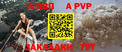 гашик Донской
