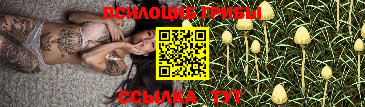 Галлюциногенные грибы ЛСД Магадан