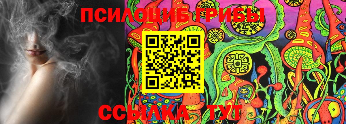 Псилоцибиновые грибы Psilocybe  Псилоцибиновые грибы Magic Shrooms  Вход с VPN  Магадан 