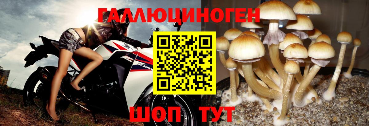MDMA  Вход с VPN  Alpha-PVP  Магадан  Мефедрон  Кокаин  Ляпка 